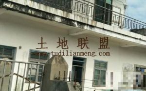 儋州兰洋温泉280亩果园转让