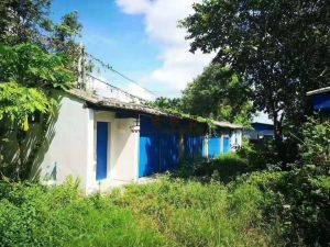 琼海17亩林地转让