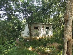 琼海25亩国有农用地转让