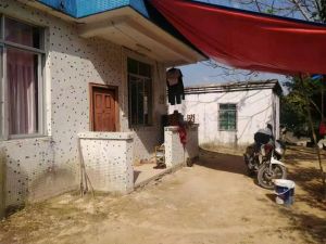 保亭1000亩山地转让