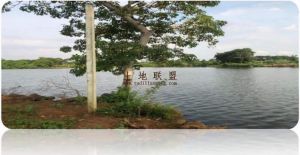 澄迈250亩种养殖地转让