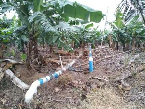 昌江棋子湾1000亩园地转让