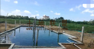 陵水县 50亩 果园 转让