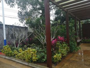 陵水3亩宅基地转让