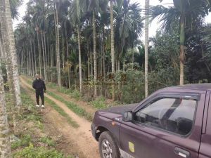 琼海14亩园地转让