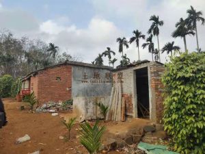 琼海市东红农场15亩园地转让