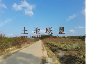 海口琼山区200亩荒地出租