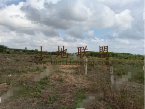 海口琼山区33亩园地转让