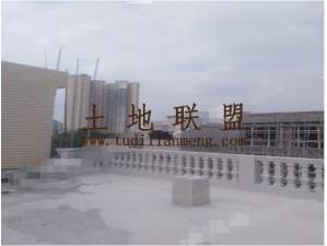 定安261平米宅基地转让