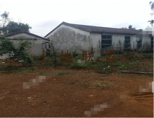 万宁市1200平米宅基地转让