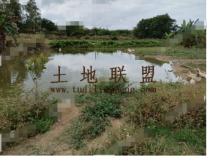 澄迈县150亩综合养殖用地转让