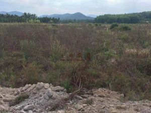 乐东170亩种植农用地转让