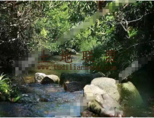 万宁350亩林地转让