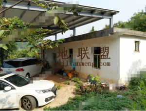 保亭县44.4亩果园转让