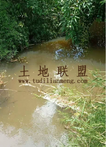 儋州200亩山坡出租