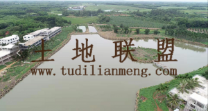 海口周边132亩民宿庄园转让