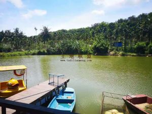 琼海50亩园地转让