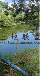 陵水140亩种植地转让