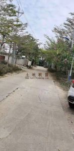 陵水光坡1100平米宅基地转让