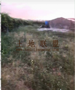 澄迈100亩百香果园出租