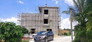 陵水50亩芒果园转让