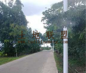 陵水提蒙650平米宅基地转让