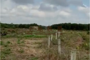 海口琼山33亩荒地通水电有住房适合种植做采摘园