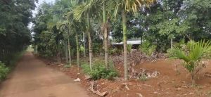 琼海32亩园地已确权可直接更名转让价便宜