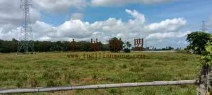 陵水提蒙120亩瓜果蔬菜种植出租年限长水源充足