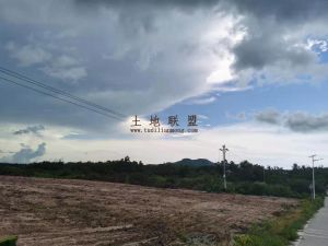 昌江2000亩种植地出租地块平整离海边3公里