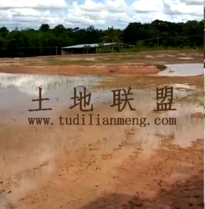 定安9亩自留地适合种植、养殖交通便利