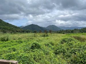 三亚113亩基本农田出租交通便利水源充足