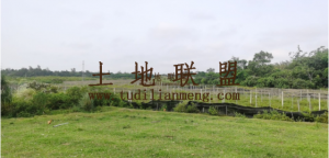 屯昌枫木镇35亩百香果转让