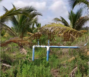 文昌360亩种植地转让