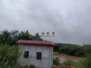 琼山区140亩果园转让