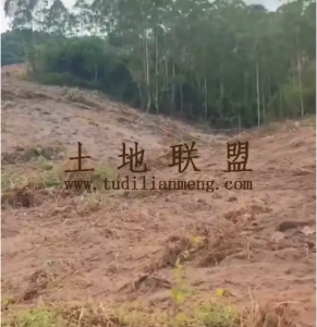 保亭28亩种植租期长转让费只需23万