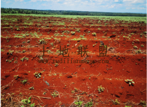 琼山区20亩红土地设施齐全转让费70万