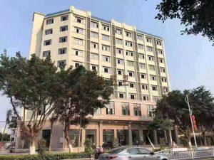 东方市中心9层商业楼转让费4200万