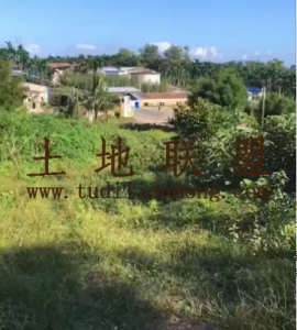 定安68亩种植地29年合同转让费400元/亩