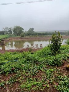 临高周边50亩园地交通便利设施齐全