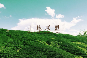 琼中5000亩林地租金36元/亩/年