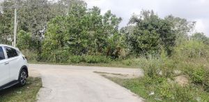 定安230亩种植地租金便宜可以五年一付