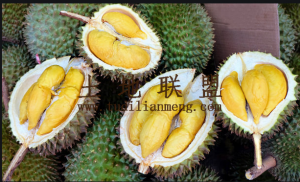 保亭40亩庄园30年合同没有租金设施齐全