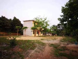 琼海65亩设施农用地有8.7亩建设用地没有租金