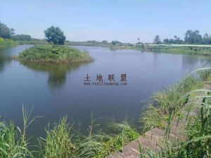 澄迈长安镇200亩农用设施地设施齐全接手就可经营