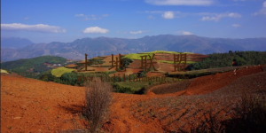 文昌70亩红土种植地租金450元/亩/年可以五年一付