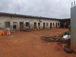 临高150亩红土种植地租金650元/亩/年可分期付