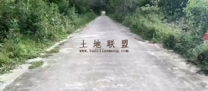 儋州160亩种植地出租租金600元/亩/年可以十年一付