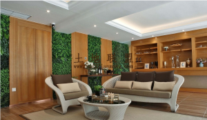 万宁动车站边上1.2亩宅基地转让费45万