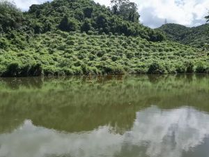 三亚吉阳区农业综合地143亩庄园环境优美舒适